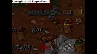 Tibia-Signal Royal caçando botter's