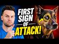 7 Signs A Dog Is About To ATTACK And How To Avoid It