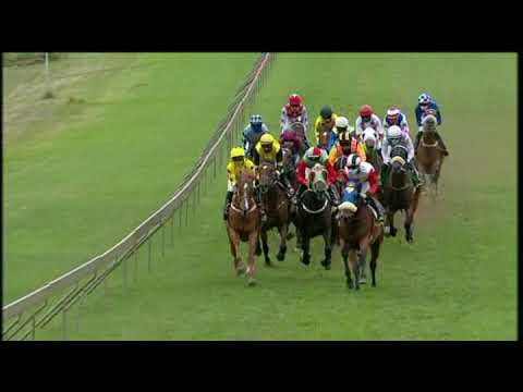 20210221 Hollywoodbets Scottsville express clip Race 9 won by BASETSANA