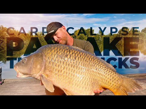DAS PAYLAKE ABC: Tipps & Tricks für Karpfenangler