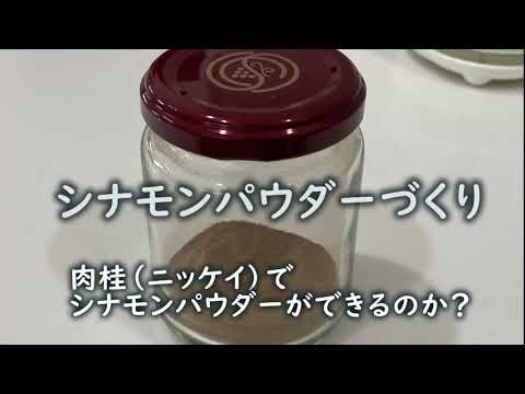 セイロンシナモンの木 植物