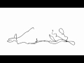 Sprout Animated Segments