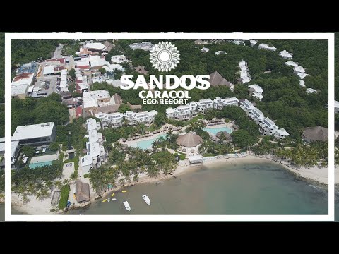 Videos del Sandos Caracol Eco Resort 5★ en Playa del Carmen, México
Ver Más
Ver
Precios
22
Cerrar
Consulta por Whatsapp 🇦🇷
Booking
Tripadvisor
Expedia
Agoda
Travelocity
Orbitz
Priceline
Trip
Skyscanner
Despegar
Kayak
Hoteles
Bestday
Destinia
Trivago
Turismocity
Almundo
Lastminute
Hotwire
Cheaptickets
Tui
Wotif
