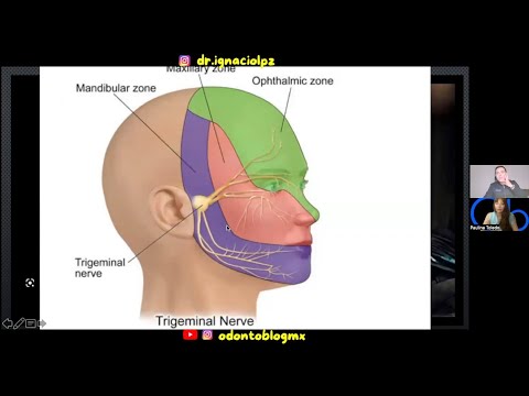 Dolor en Odontología