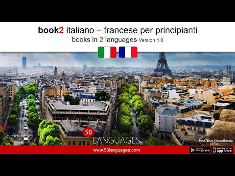 Francese per principianti in 100 lezioni