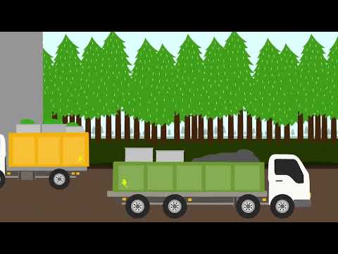 Explicando a Economia Circular e como a Sociedade Pode Repensar o Progresso