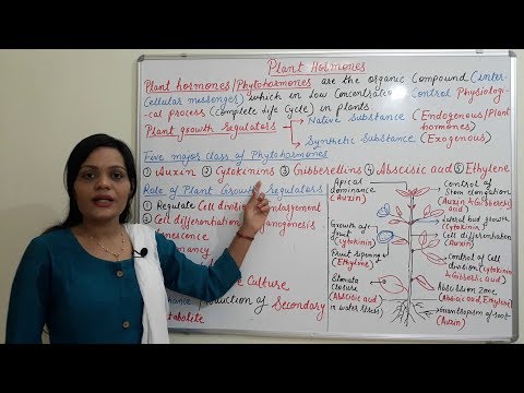 Class (23) = Introduction to Plant Hormones and its Application | Types & Functions of Plant Hormone