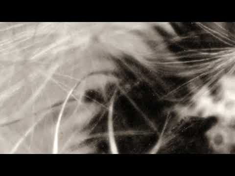 Guy J - Drifting Memory