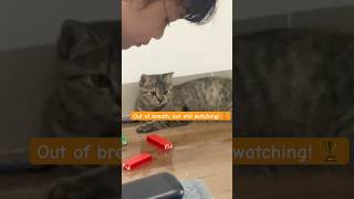 Download lagu Menyes is FED UP lol 😹 #shorts #funny mp3