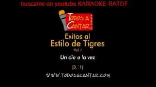 karaoke ratof   TIGRES DEL NORTE   UN DIA A LA VEZ