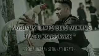 Download lagu STORY WA PSHT || MAKNA TES JAGO mp3