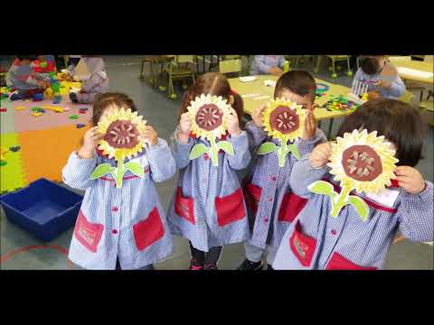 Vídeo Colegio Pradolongo