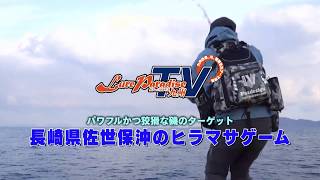 ソルティメイト フルコンタクト×8 | サンライン ソルティメイト フルコンタクト×8 | サンライン