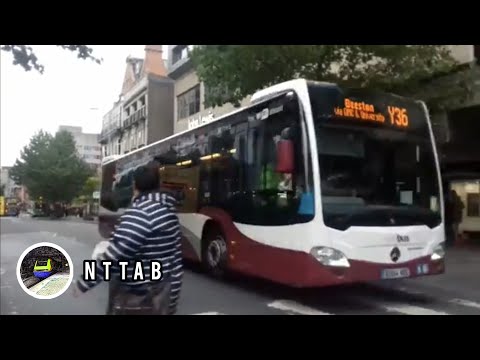 yourbus | Y36