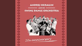 Music video thumbnail preview for The Night We Called It A Day by Andrej Hermlin and His Swing Dance Orchestra