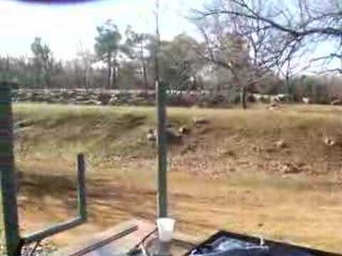 teuf apérocalage a rougiers