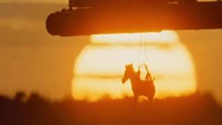 Africa Addio (trailer by: me)