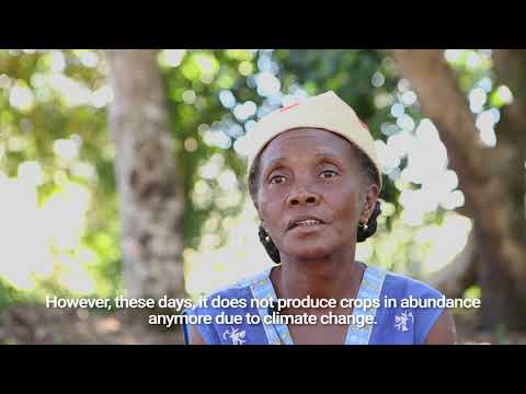 Ecosystem-based Adaptation in Madagascar | UNEP - UN Environment Programme