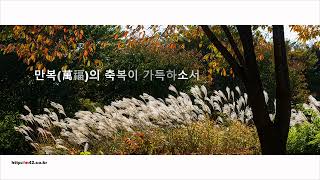 만복萬福의 축복이 가득하소서