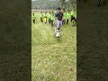 Mesin Pemotong Rumput Modifikasi