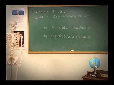 Radi Hoca - Berber Kazası