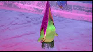 The Angry Birds 2: Gary’s Butt