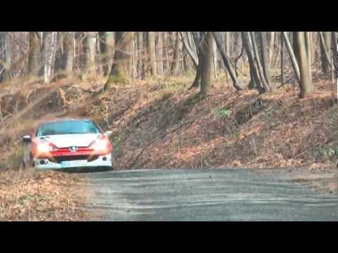 II Memoriał Kuliga i Bublewicza dla Amatorów | Mrożek / Mrożek | Peugeot 206 by MotoRecords