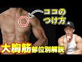【胸トレ】大胸筋上部と内側のつけ方はコレ!