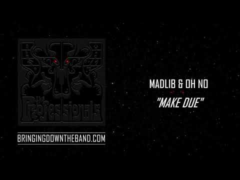 The Professionals (Madlib & Oh No) - "Make Due" (Audio | 2020)