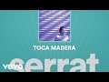 Joan Manuel Serrat - Toca Madera (Cover Audio)