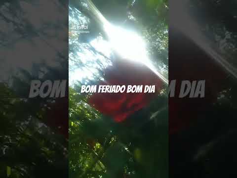 BOM FERIADO BOM DIA BOM DESCANSO #andrelandiamg #minasgerais