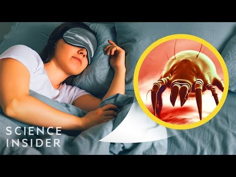 床單其實比馬桶坐墊髒！？該清理啦！ (What Happens When You Never Wash Your Sheets)