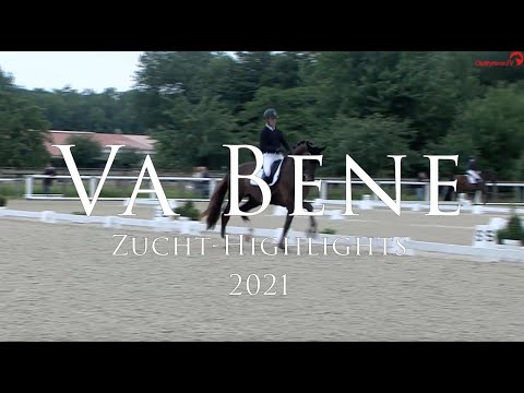 Va Bene 2022 ENG