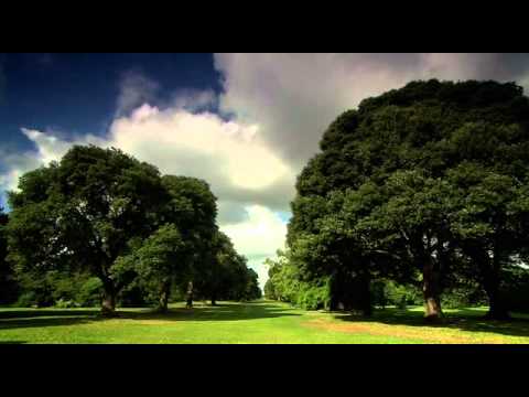 Genius of Britain - The Chemical Brothers - Episode 2 (part 5/5) SUB ENG - ITA