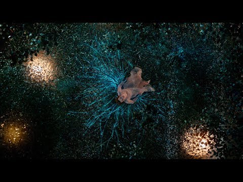 Video thumbnail for Молоды и Красивы (Young and Beautiful)