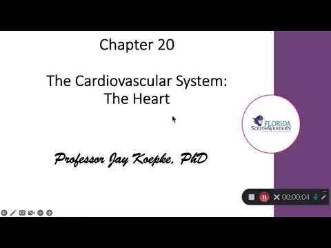 Chapter 20 The Heart Video 1