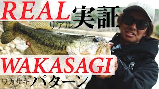 Aono Dam now! Realistic demonstration of smelt pattern! MAMORU KAGIYA [bass fishing]