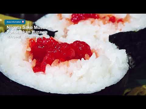 Port of Naoetsu excursion No.1