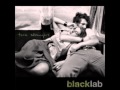 love to love you by black lab 