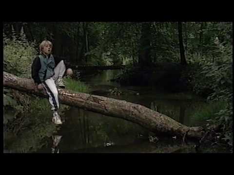 Video thumbnail for Skoven er så underfuld