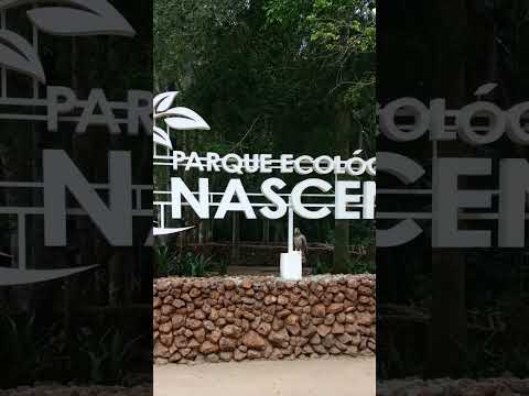 Conhecendo a Paraíba - Itapororoca #nordeste