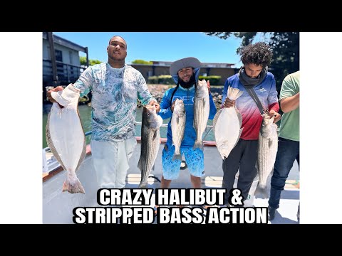 Bay Area Fishing: Chasing Giant Halibut & Striped Bass