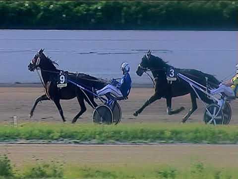 Trotto 04/06/2019 - 8ª corsa - TRIS