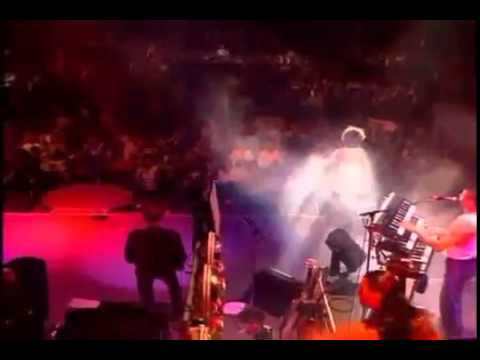 Tina Turner Simply The Best Live 1994