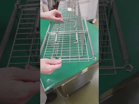 独自のハエ捕りを構築する: 確実に機能する 3 つのシンプルな捕獲器 自然と動物