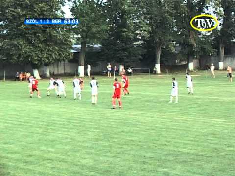 Nagszőlős - Beregvidék 1-4