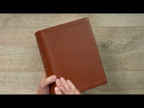 Video Preview for NLT Life Application Study Bible, Third Edition, Large Print | Genuine Leather, Brown, Red Letter