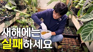 250만원 짜리 다육이 공중분해
