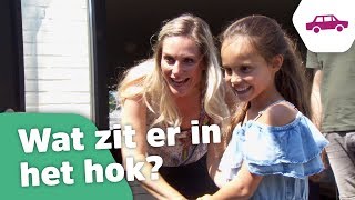 JADE KRIJGT EEN HUISDIER VAN LEX! - Kinderen voor Kinderen op weg naar de Grote Show 3