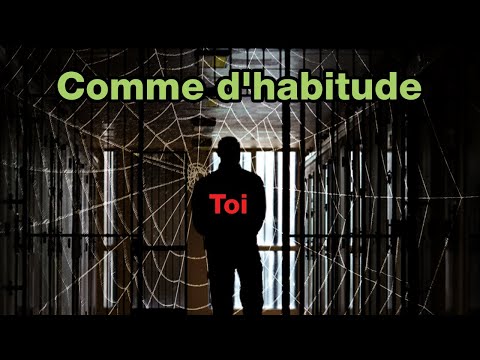 Vidéo YouTube